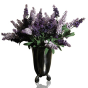 Lavender Reflection